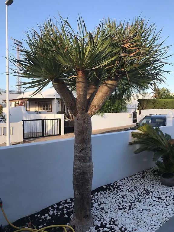 Villa Risco Prieto Puerto del Carmen  Puerto del Carmen (Lanzarote)